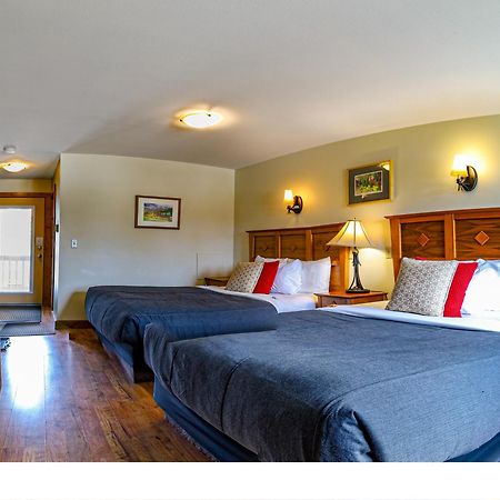 Truffle Pigs Lodge Field Extérieur photo