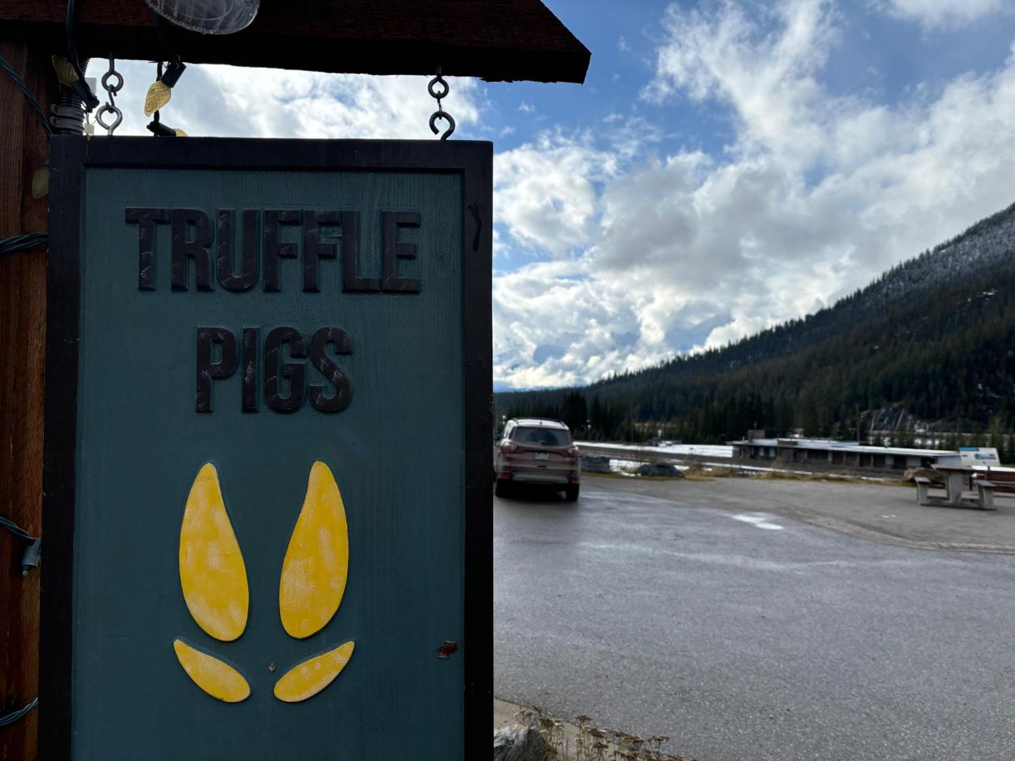 Truffle Pigs Lodge Field Extérieur photo
